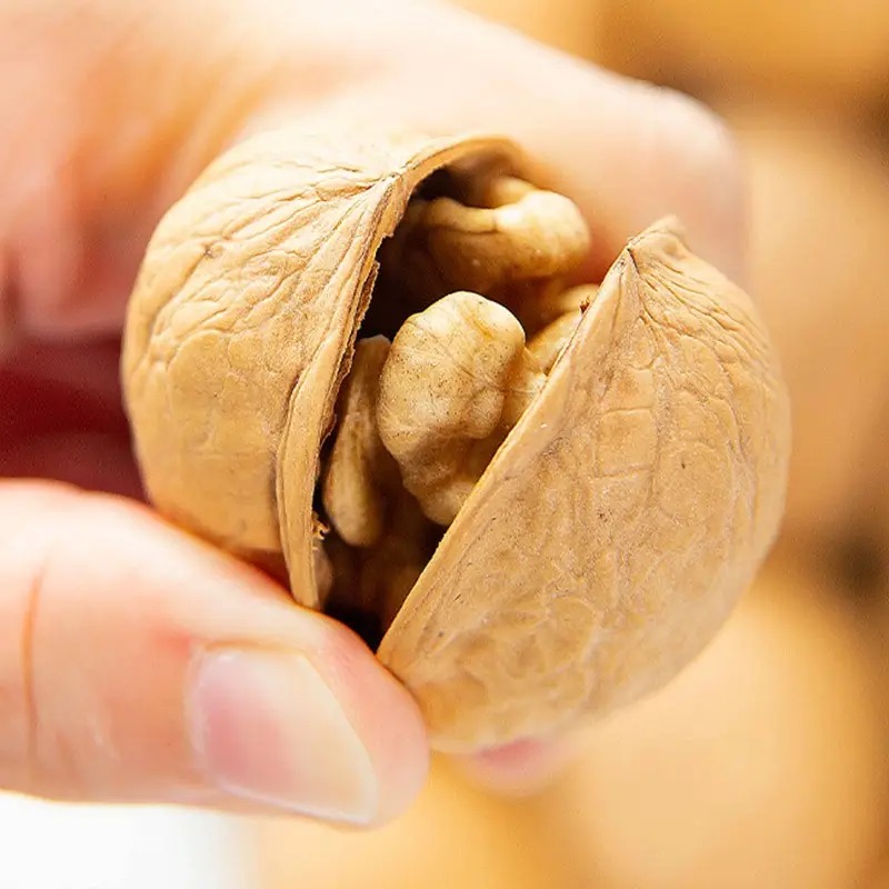Walnut in Shell