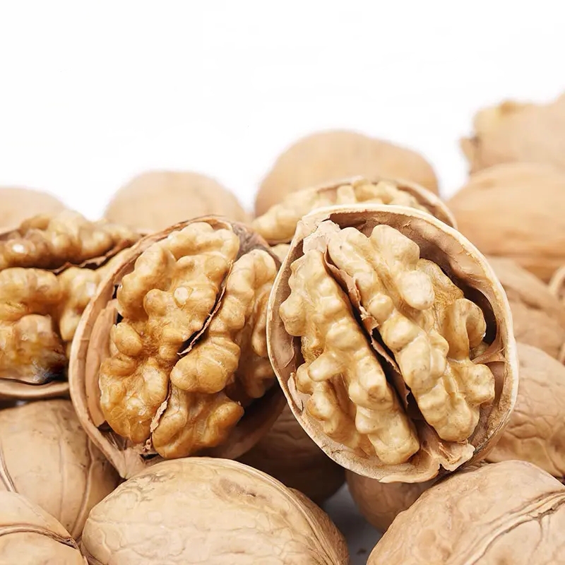Walnut in Shell