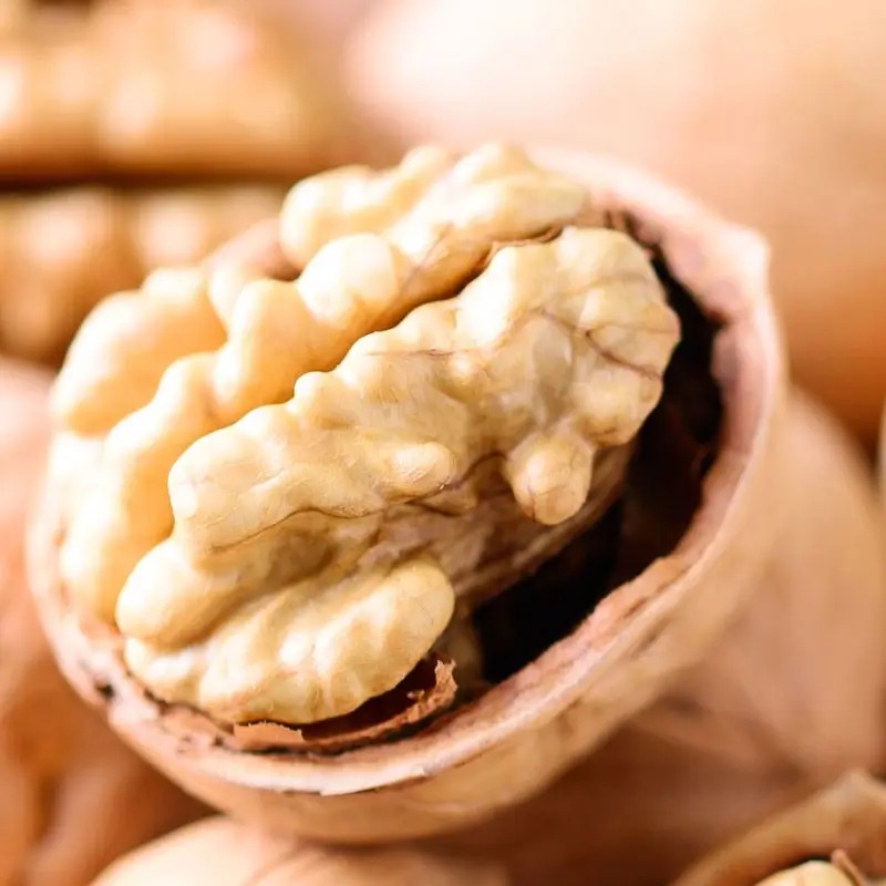 Walnut Kernel
