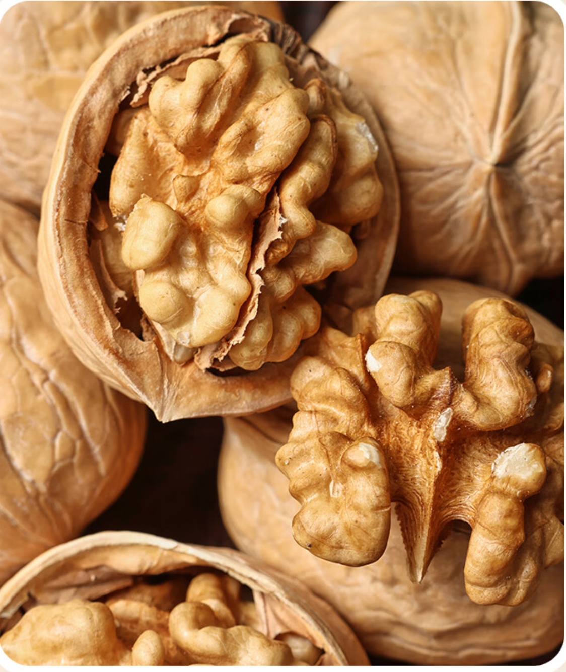 Walnut Kernel